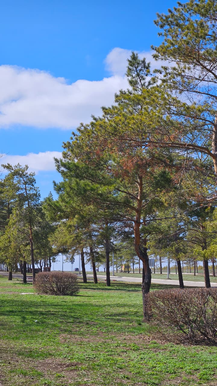 WhatsApp Image 2026-04-09 at 17.11.47