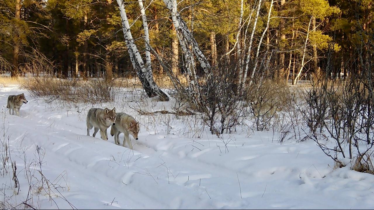 WhatsApp Image 2026-04-10 at 11.54.40