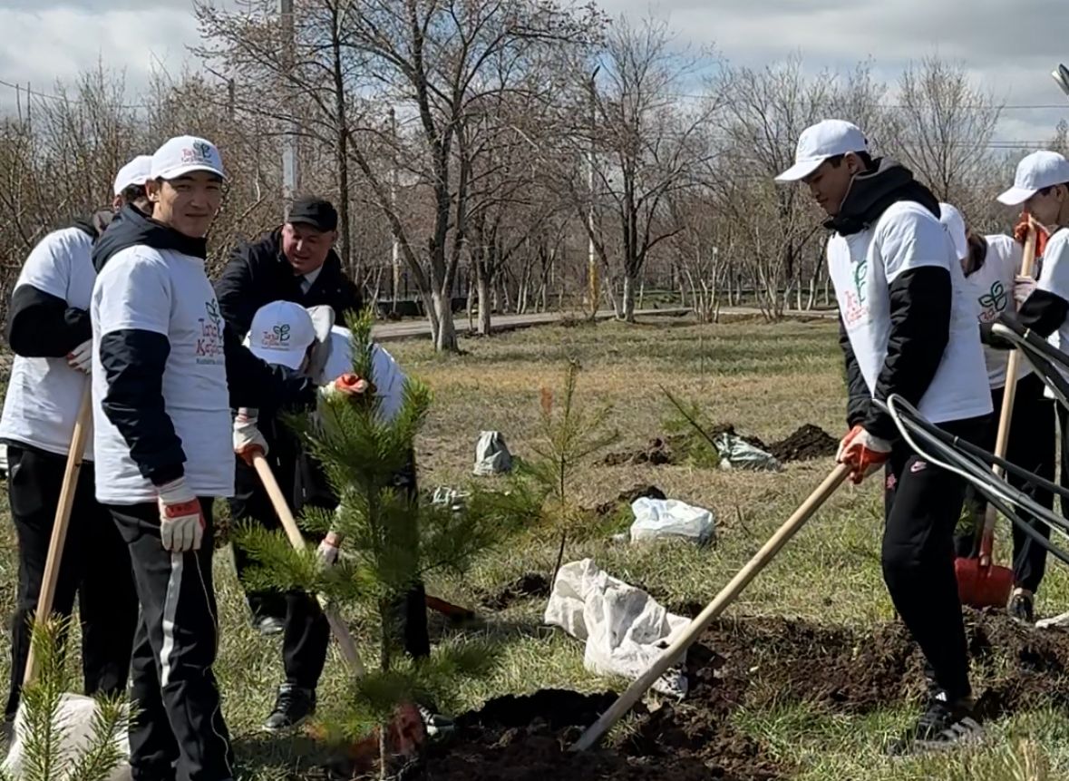 WhatsApp Image 2026-04-11 at 14.57.03