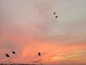 WhatsApp Image 2026-04-20 at 14.41.01