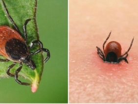 WhatsApp Image 2026-04-22 at 15.23.32