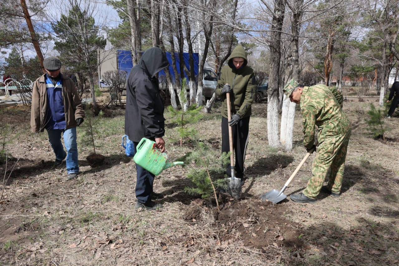 WhatsApp Image 2026-04-22 at 19.08.37 (1)