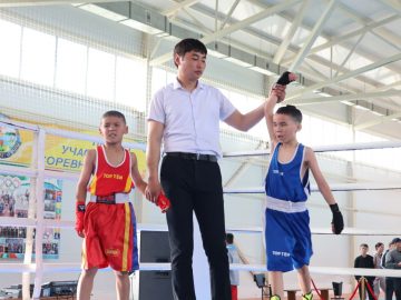 WhatsApp Image 2026-04-29 at 17.09.29