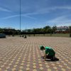 IMG-20260610-WA0016