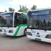 IMG_3604 (1)