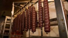 ac66b600-a00e-4037-8ecd-2a19b9aa619b