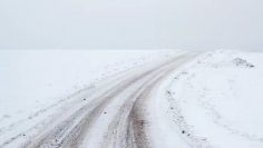 WhatsApp Image 2026-01-27 at 09.44.02