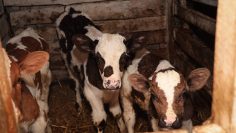 IMG_20260327_170452_417