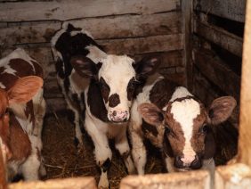 IMG_20260327_170452_417