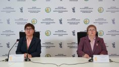 WhatsApp Image 2026-03-11 at 17.15.53