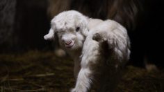 WhatsApp Image 2026-03-16 at 17.48.44