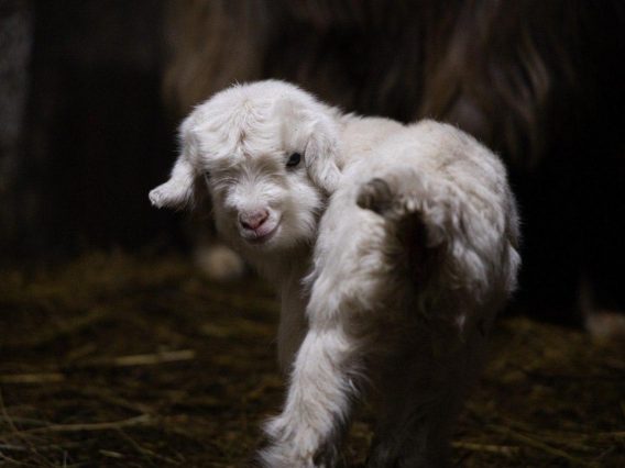 WhatsApp Image 2026-03-16 at 17.48.44