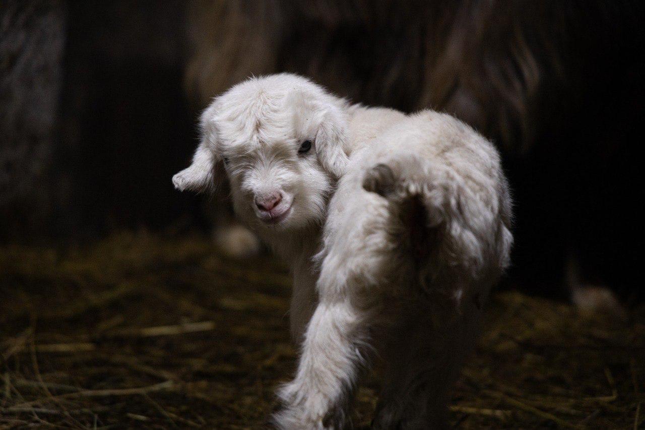 WhatsApp Image 2026-03-16 at 17.48.44