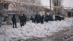 WhatsApp Image 2026-04-03 at 15.04.18