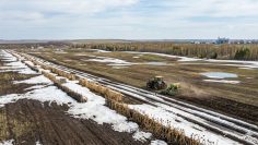 WhatsApp Image 2026-04-10 at 16.28.49