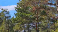 WhatsApp Image 2026-04-09 at 17.11.47