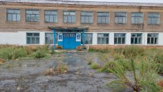 WhatsApp Image 2026-03-18 at 15.50.58