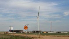 WhatsApp Image 2025-11-28 at 15.56.52