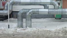 WhatsApp Image 2025-12-30 at 10.05.52