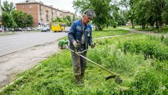 WhatsApp Image 2026-04-07 at 13.19.06