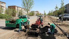 WhatsApp Image 2026-04-07 at 13.32.57