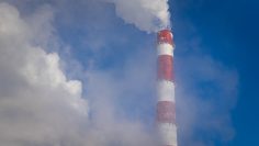 WhatsApp Image 2026-04-07 at 15.35.49