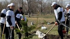 WhatsApp Image 2026-04-11 at 14.57.03