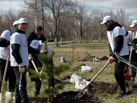 WhatsApp Image 2026-04-11 at 14.57.03