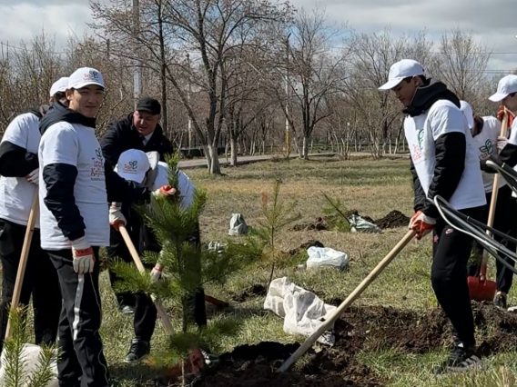 WhatsApp Image 2026-04-11 at 14.57.03