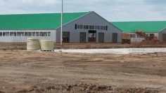 WhatsApp Image 2025-11-27 at 12.09.12