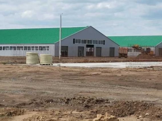 WhatsApp Image 2025-11-27 at 12.09.12