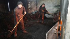 WhatsApp Image 2025-11-26 at 09.47.33