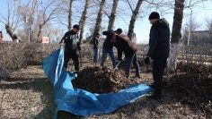 WhatsApp Image 2026-04-02 at 11.06.06 (1)