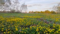 WhatsApp Image 2026-04-22 at 14.24.47