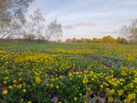 WhatsApp Image 2026-04-22 at 14.24.47