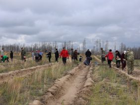 IMG-20260612-WA0035