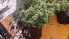 WhatsApp Image 2026-01-15 at 12.25.37 (1)