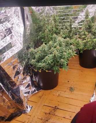 WhatsApp Image 2026-01-15 at 12.25.37 (1)