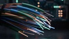 WhatsApp Image 2025-12-11 at 11.17.18