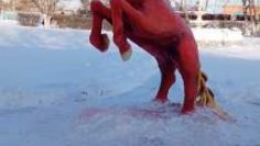 WhatsApp Image 2026-01-15 at 09.36.24