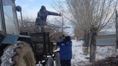 WhatsApp Image 2026-02-17 at 14.47.49 (2)