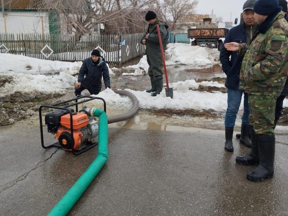 WhatsApp Image 2026-03-02 at 13.01.39 (1)