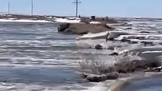 WhatsApp Image 2026-03-30 at 10.29.41