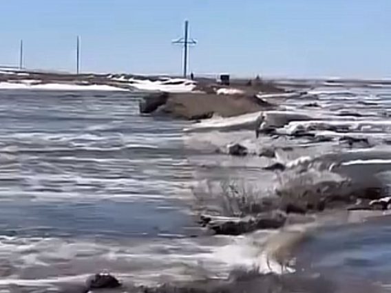 WhatsApp Image 2026-03-30 at 10.29.41