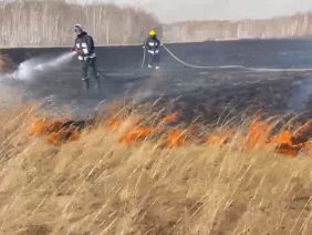 WhatsApp Image 2026-04-15 at 17.06.13