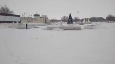 WhatsApp Image 2025-12-24 at 10.16.58