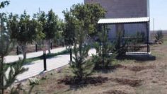 WhatsApp Image 2026-01-20 at 10.53.35