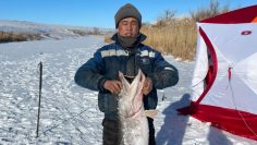 WhatsApp Image 2026-02-24 at 14.32.24