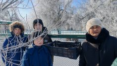 WhatsApp Image 2026-02-25 at 14.29.40