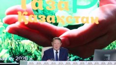 WhatsApp Image 2026-04-01 at 16.05.57